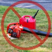 Seasonal Restriction on Gas Leaf Blowers