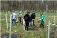 Community Planting Day 1 (jpg)