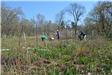 Community Planting Day 10 (jpg)