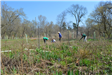 Community Planting Day 12 (jpg)