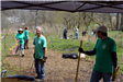 Community Planting 1