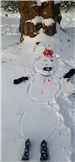 Snowman 7 (jpg)