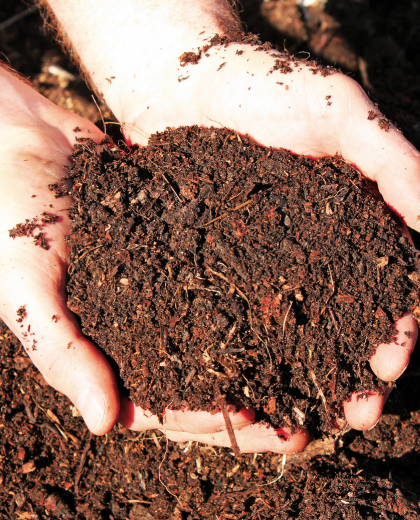 Compost Image