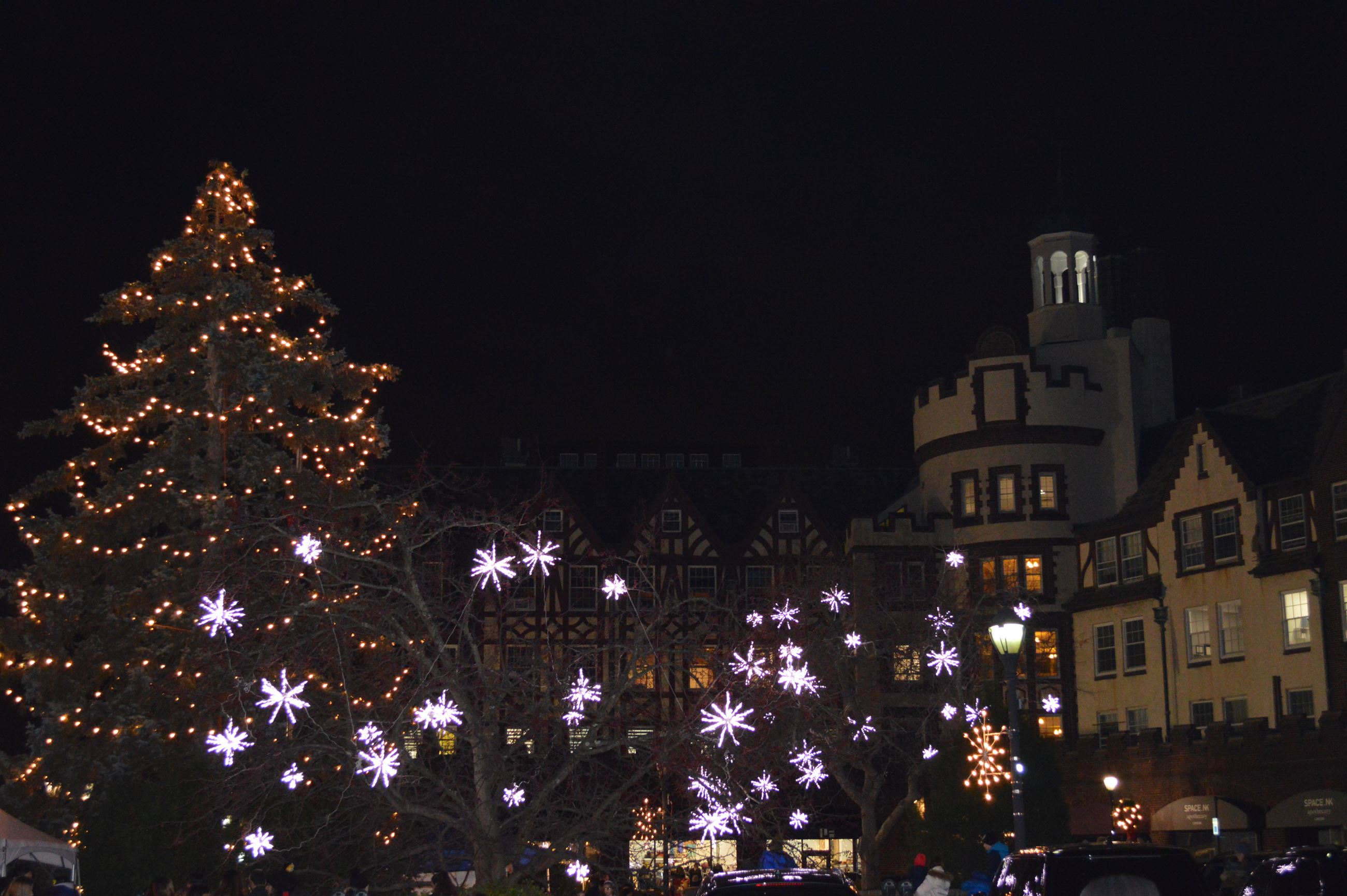 Boniface Circle Holiday Lights