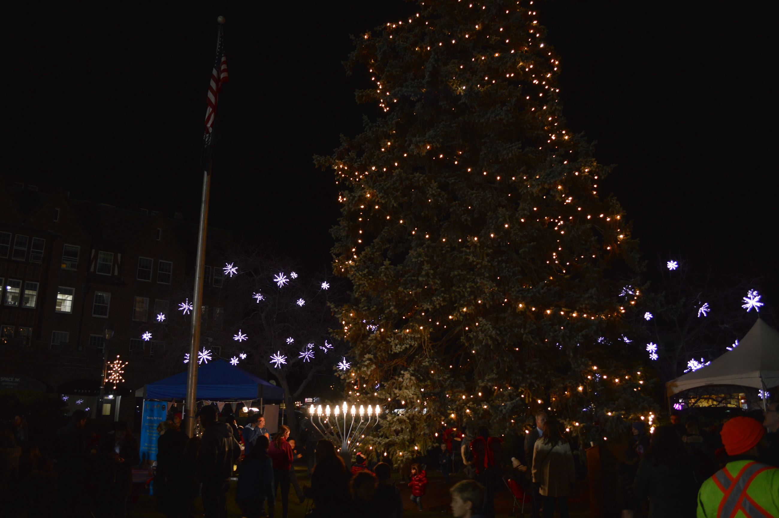 Holiday Tree and Menorah