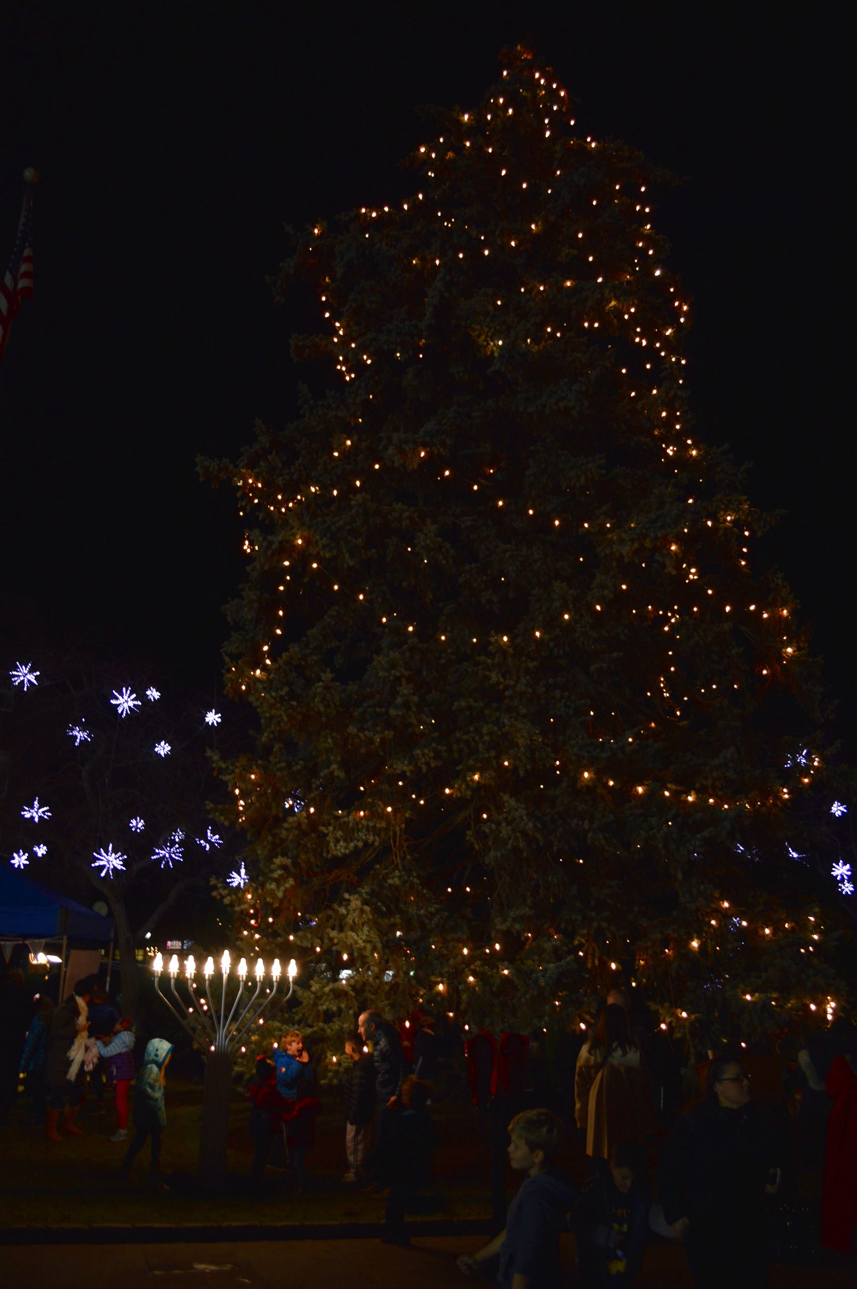 Holiday Tree and Menorah