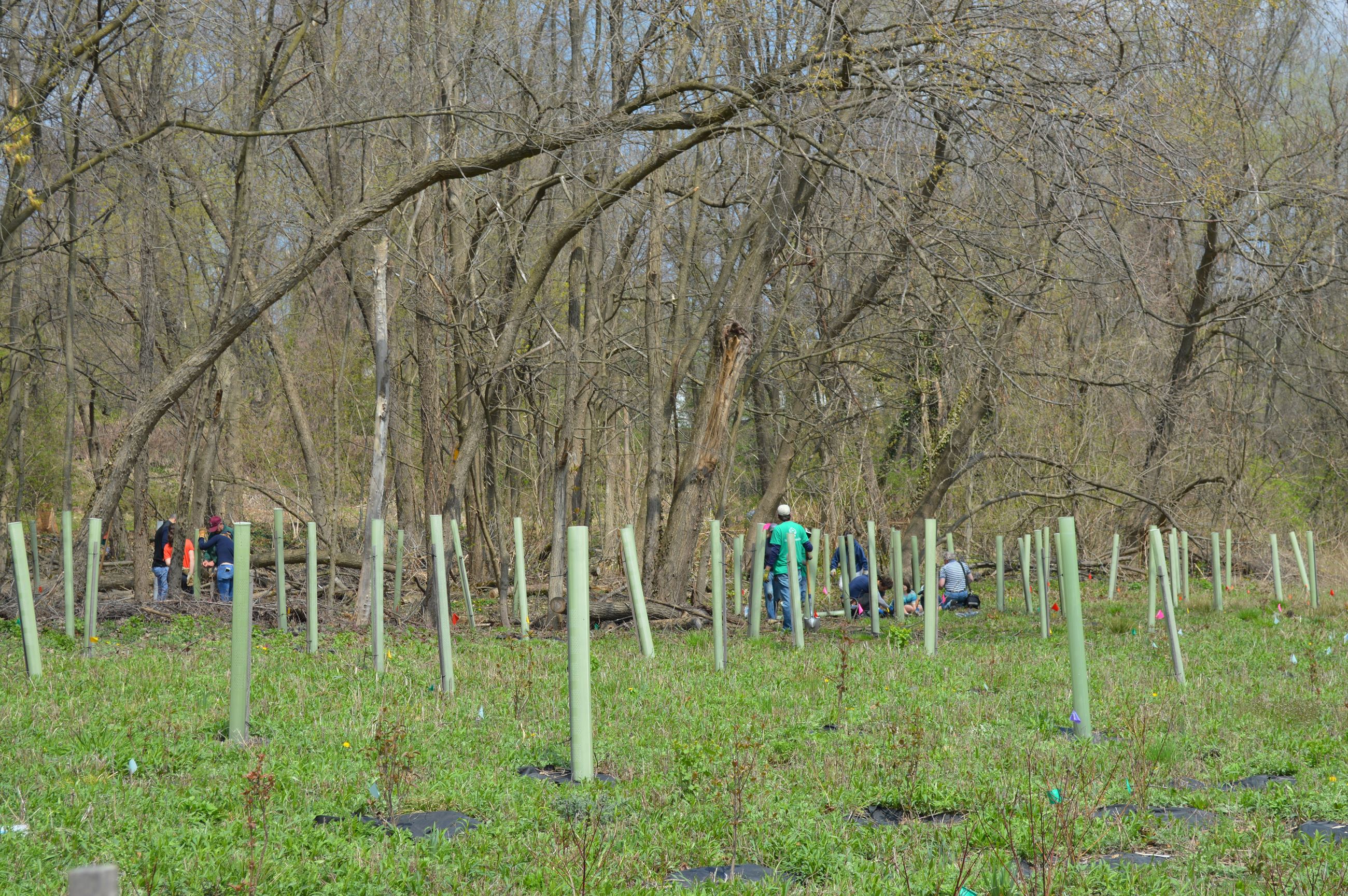 Community Planting Day 2 (jpg)