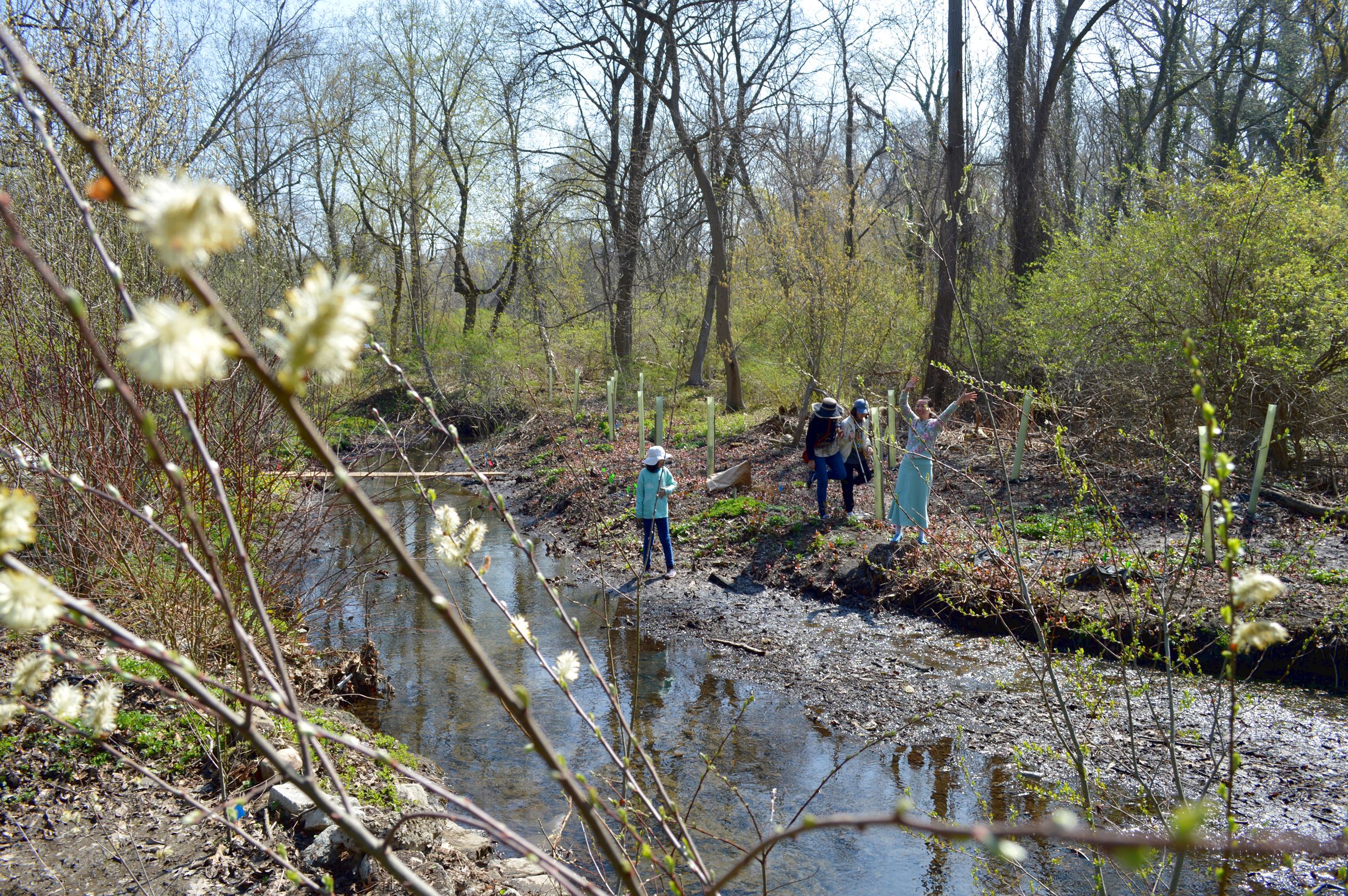 Community Planting Day 34 (jpg)