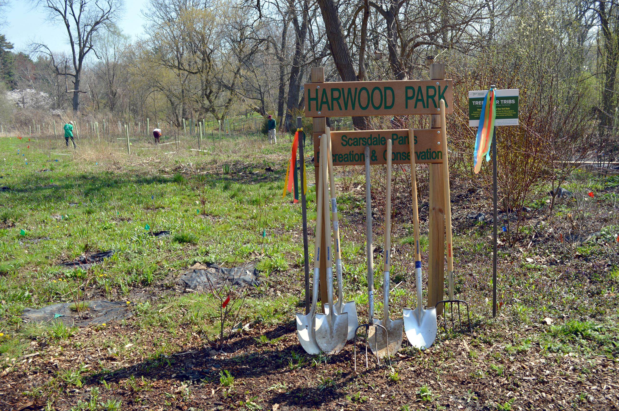 Community Planting Day 31 (jpg)