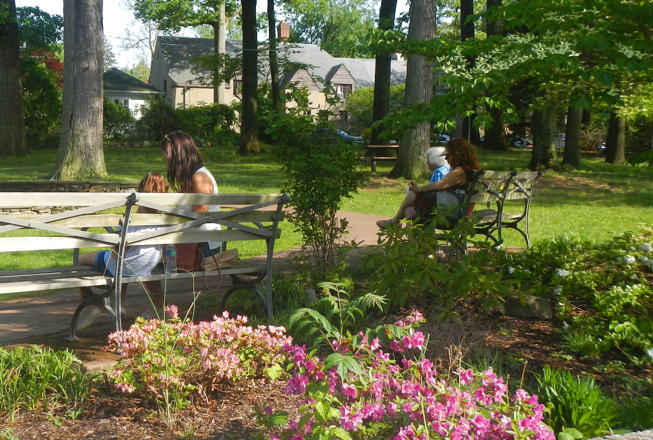 Chase Park Scene May 2017