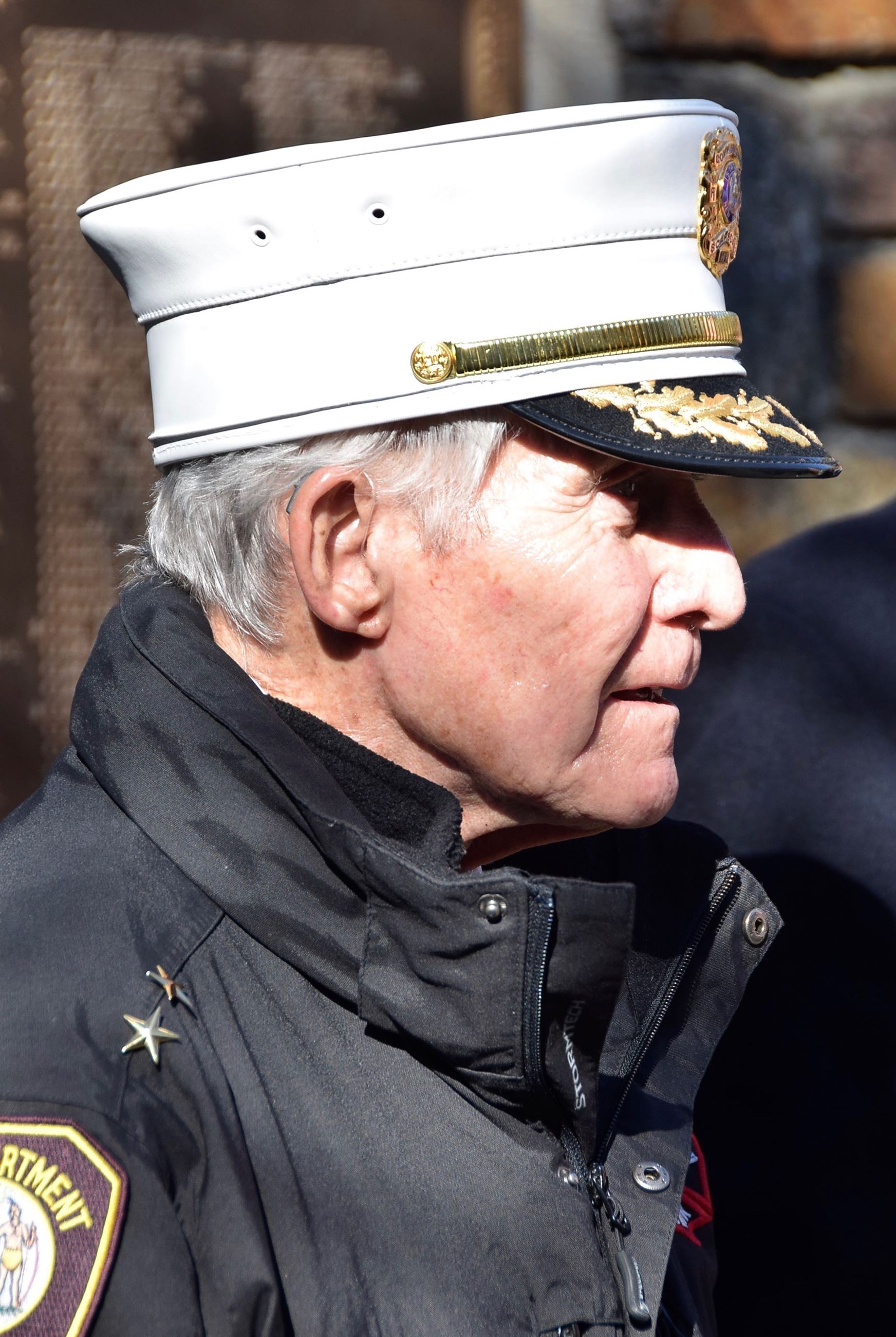 Veterans Day Image (jpg)