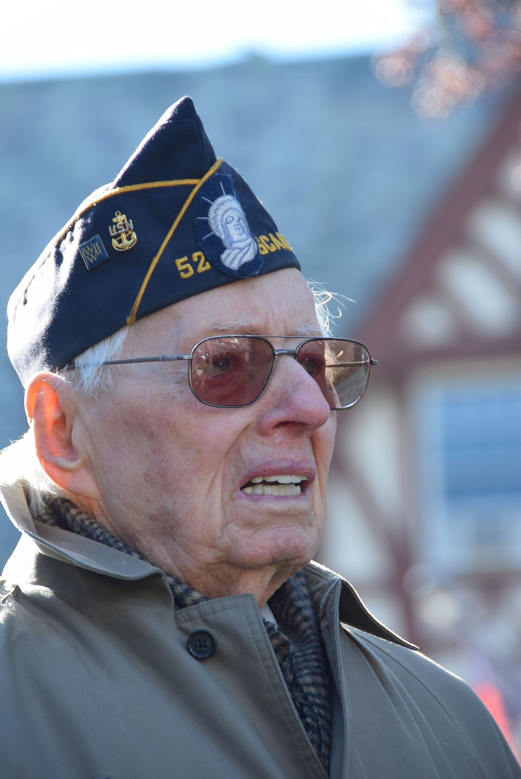 Veterans Day Image (jpg)