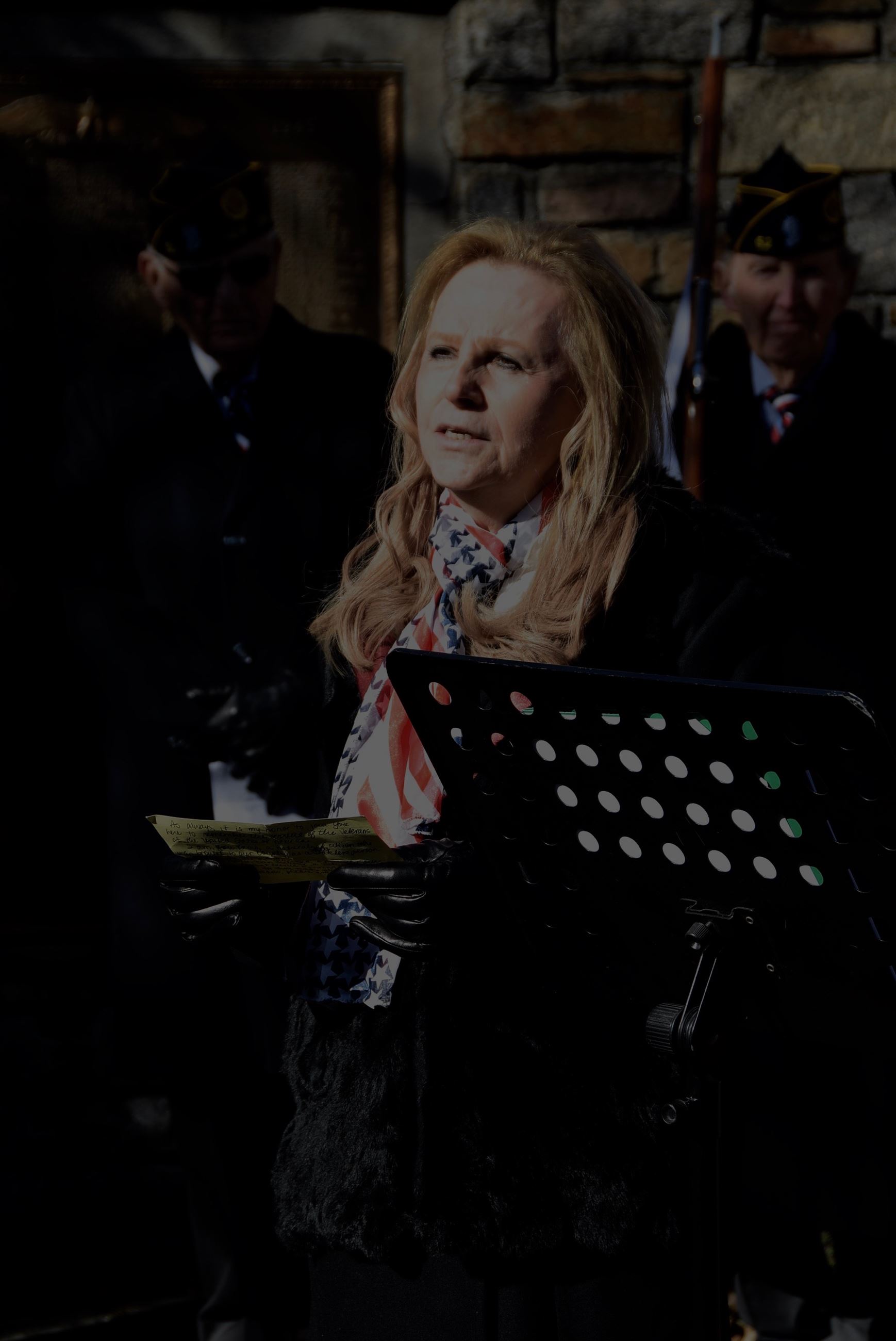 Veterans Day Image (jpg)