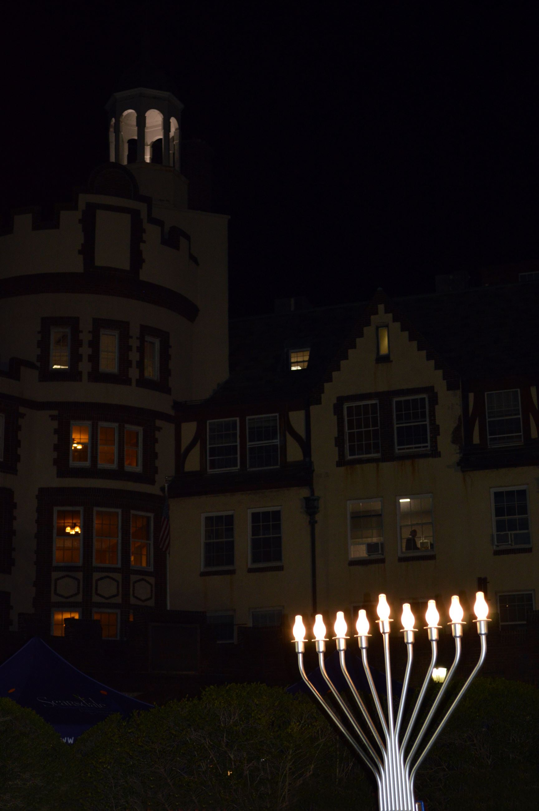 Light the Dale -Menorah2 (jpg)