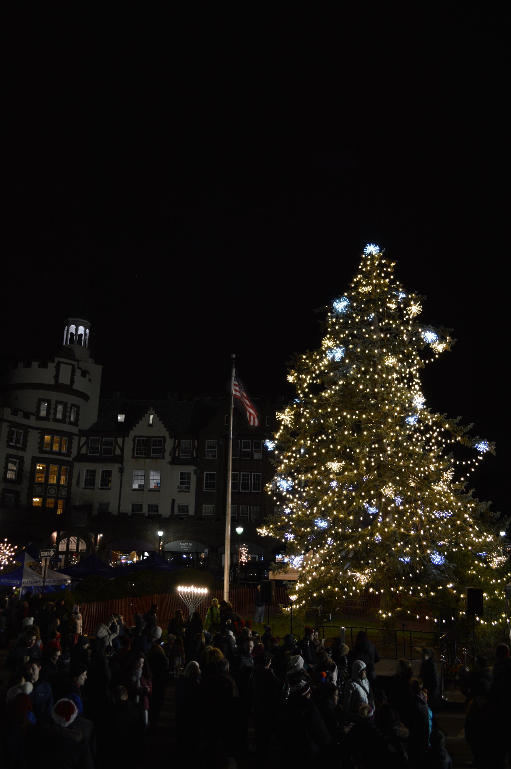 Light the Dale -Tree Menorah Flag (jpg)