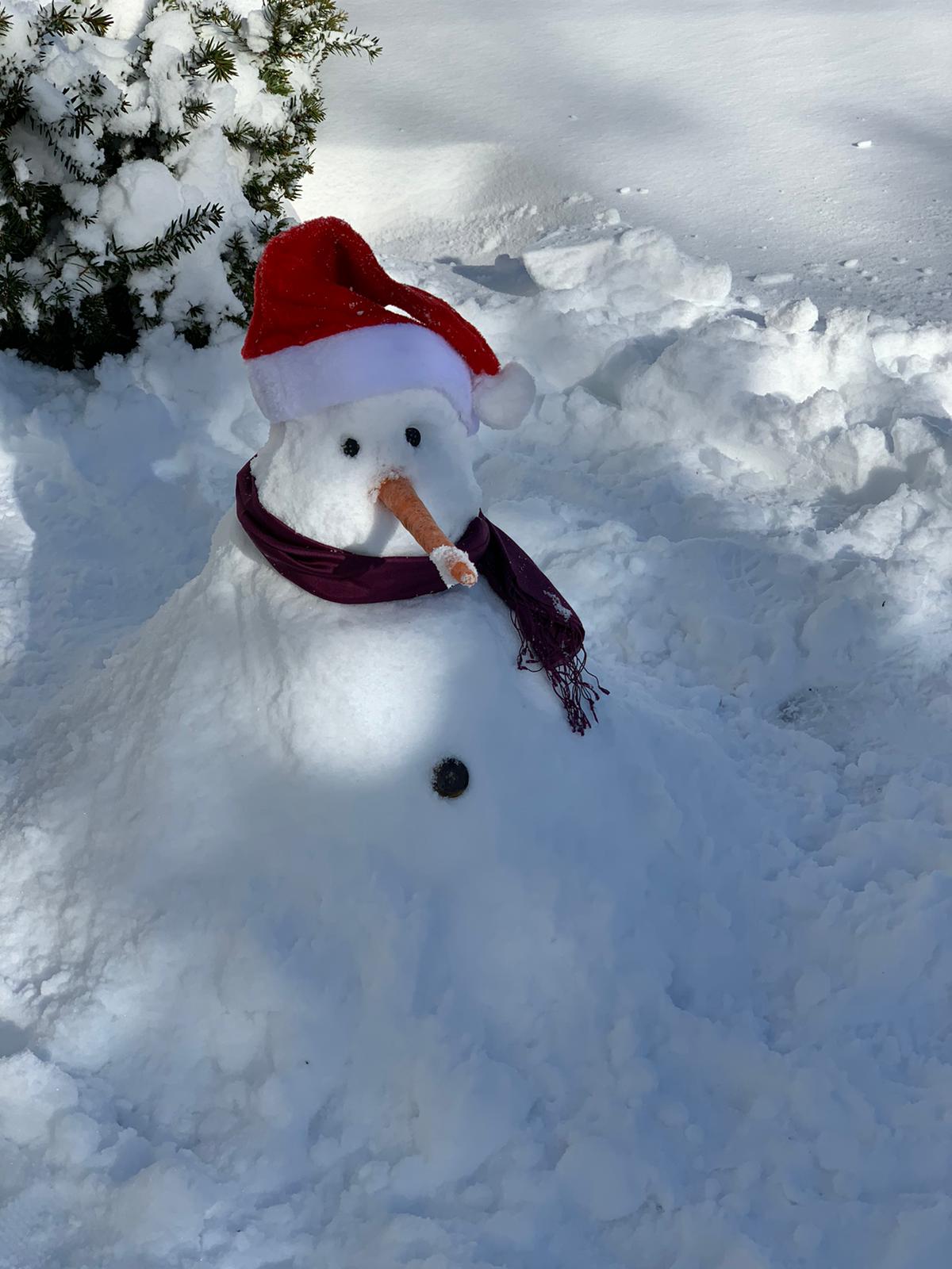 Snowman 2 (jpg)