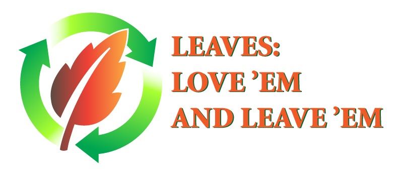 Leaves: Love Them and Leave Them